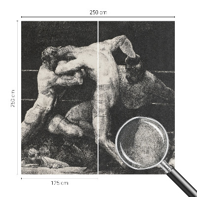 Tapety na stenu samolepiace Súboj boxerov