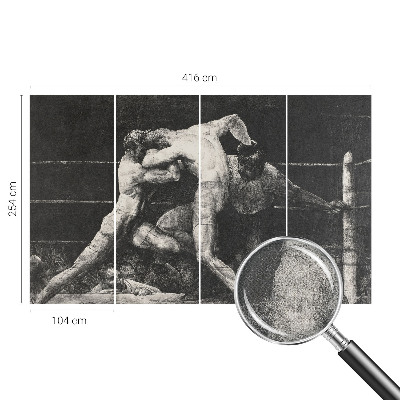 Tapety na stenu samolepiace Súboj boxerov