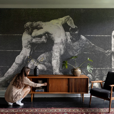 Tapety na stenu samolepiace Súboj boxerov