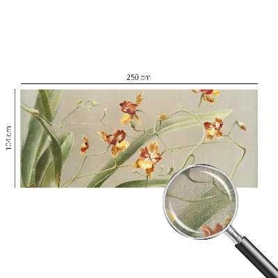 3D tapeta Klasické orchidey
