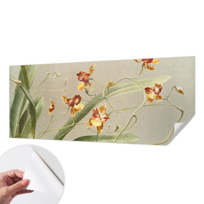 3D tapeta Klasické orchidey