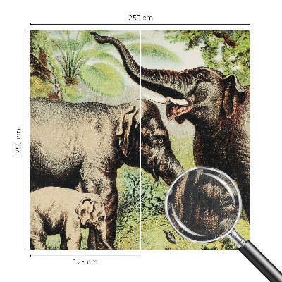 3D fototapeta Rodinné slony