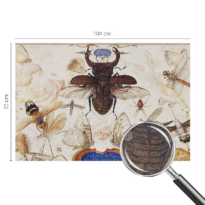 Detská tapeta Prirodzená harmónia