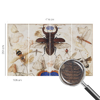 Detská tapeta Prirodzená harmónia