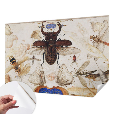 Detská tapeta Prirodzená harmónia