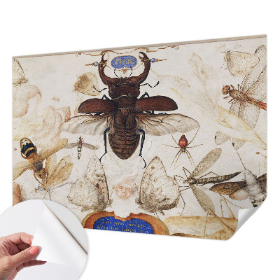 Detská tapeta Prirodzená harmónia