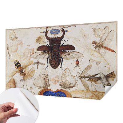 Detská tapeta Prirodzená harmónia