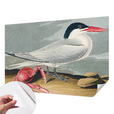 Tapety na stenu samolepiace Morská scenéria