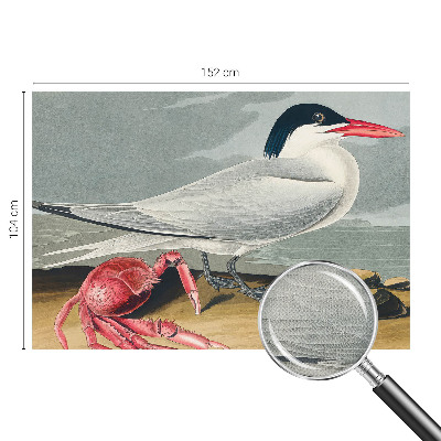 Tapety na stenu samolepiace Morská scenéria