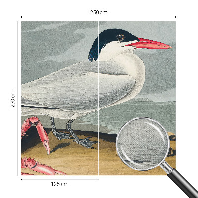 Tapety na stenu samolepiace Morská scenéria