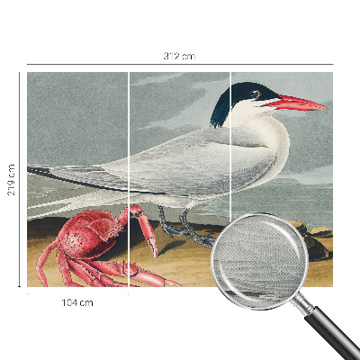 Tapety na stenu samolepiace Morská scenéria