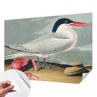 Tapety na stenu samolepiace Morská scenéria