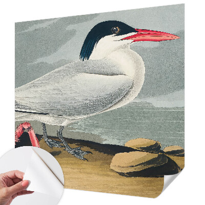 Tapety na stenu samolepiace Morská scenéria