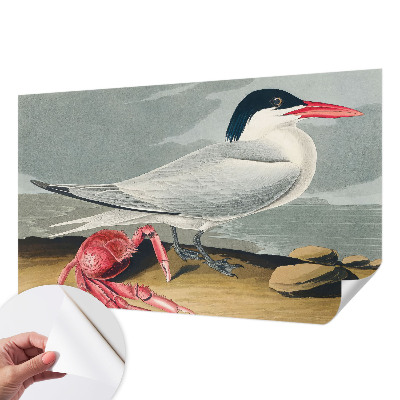 Tapety na stenu samolepiace Morská scenéria