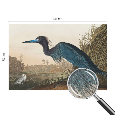 Tapeta do detskej izby Vodné vtáky