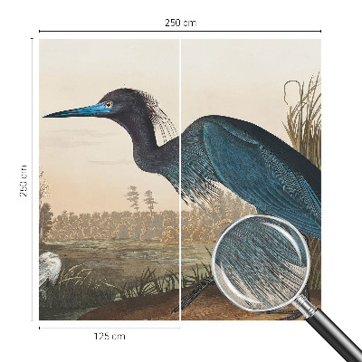 Tapeta do detskej izby Vodné vtáky