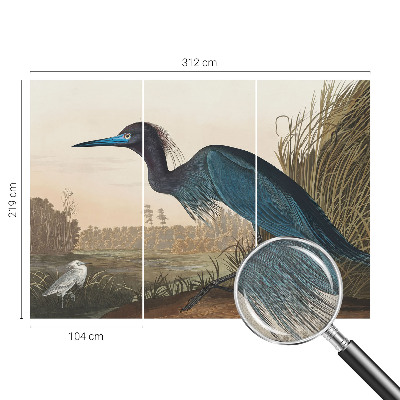 Tapeta do detskej izby Vodné vtáky