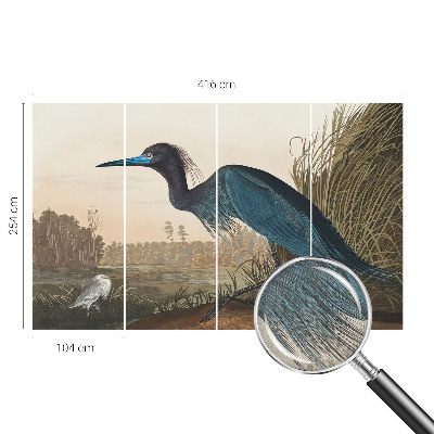 Tapeta do detskej izby Vodné vtáky