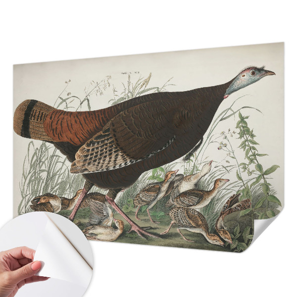 Samolepiaca tapeta Prirodzená harmónia