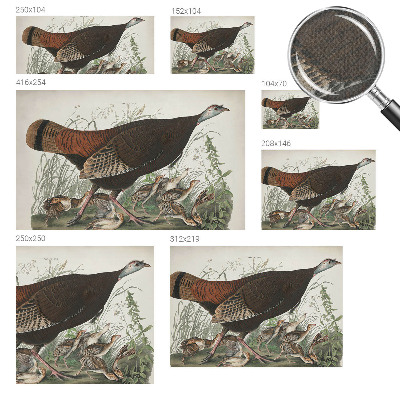 Samolepiaca tapeta Prirodzená harmónia