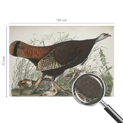 Samolepiaca tapeta Prirodzená harmónia