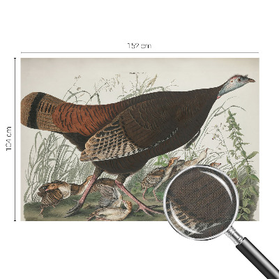 Samolepiaca tapeta Prirodzená harmónia