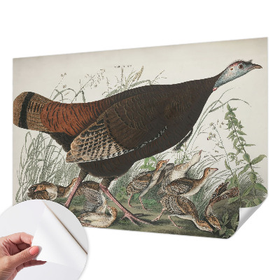 Samolepiaca tapeta Prirodzená harmónia