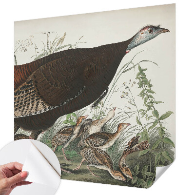 Samolepiaca tapeta Prirodzená harmónia