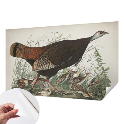 Samolepiaca tapeta Prirodzená harmónia