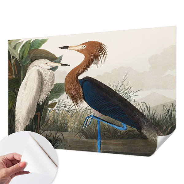 Samolepiaca fototapeta do obývačky Vtáky v rastlinách