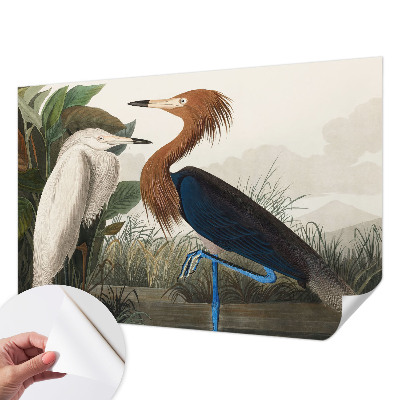 Samolepiaca fototapeta do obývačky Vtáky v rastlinách