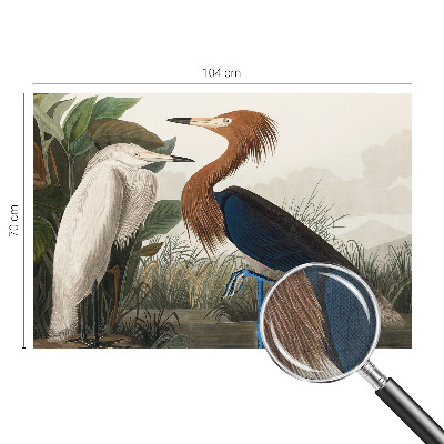 Samolepiaca fototapeta do obývačky Vtáky v rastlinách