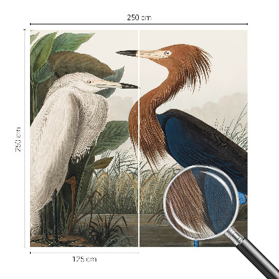 Samolepiaca fototapeta do obývačky Vtáky v rastlinách