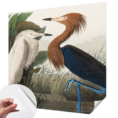 Samolepiaca fototapeta do obývačky Vtáky v rastlinách