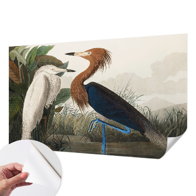 Samolepiaca fototapeta do obývačky Vtáky v rastlinách