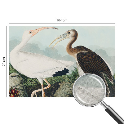 Fotografická tapeta samolepiaca Vtáčí pár