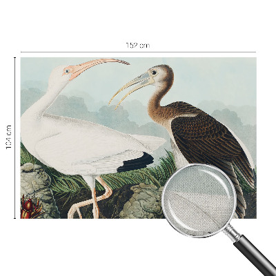 Fotografická tapeta samolepiaca Vtáčí pár