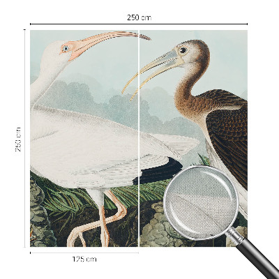 Fotografická tapeta samolepiaca Vtáčí pár