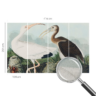 Fotografická tapeta samolepiaca Vtáčí pár