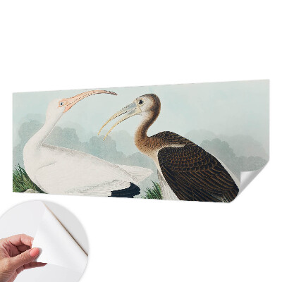 Fotografická tapeta samolepiaca Vtáčí pár