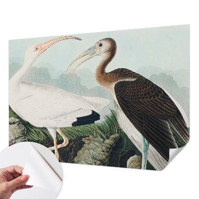 Fotografická tapeta samolepiaca Vtáčí pár