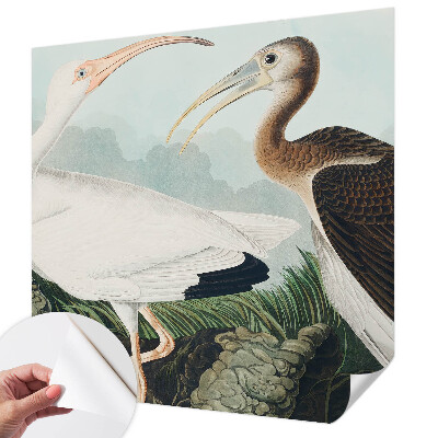 Fotografická tapeta samolepiaca Vtáčí pár