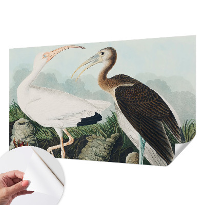 Fotografická tapeta samolepiaca Vtáčí pár