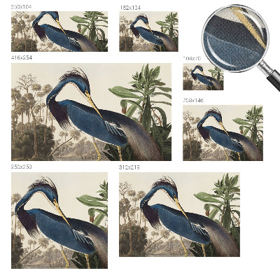 3D fototapeta Exotická príroda