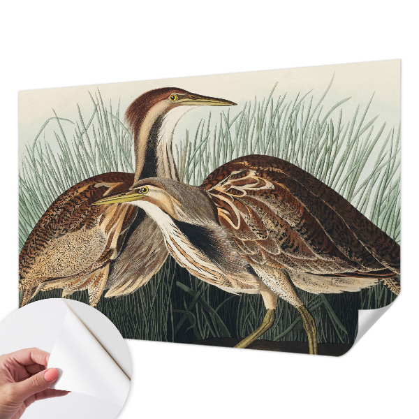 Samolepiaca fototapeta do spálne Realistické vtáky