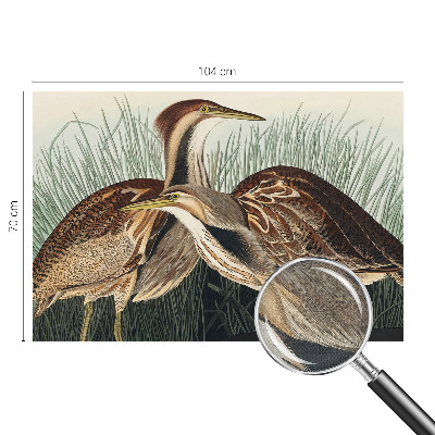 Samolepiaca fototapeta do spálne Realistické vtáky