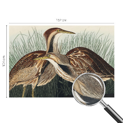 Samolepiaca fototapeta do spálne Realistické vtáky