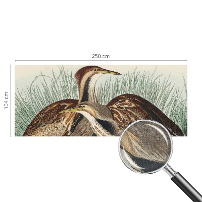 Samolepiaca fototapeta do spálne Realistické vtáky