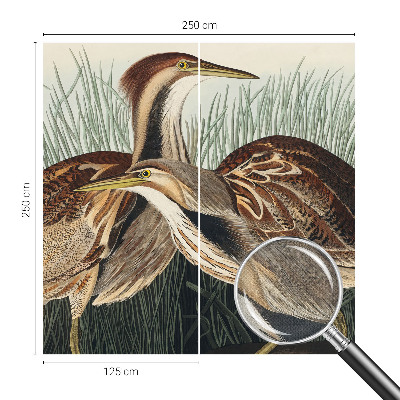 Samolepiaca fototapeta do spálne Realistické vtáky