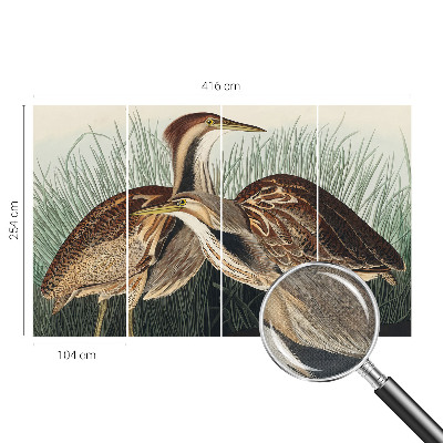 Samolepiaca fototapeta do spálne Realistické vtáky